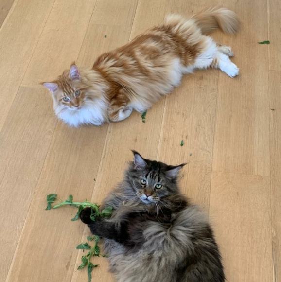 Meet the boys! - Picture 13 of 13